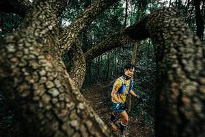 BIB: 
                            <button type="button" onclick="openModal(25393550)" class="btn btn-primary btn-sm float-right btn-popup" data-toggle="modal" data-target=".modal-high-quality">
                        <i class="fas fa-shopping-cart"></i> Add to Cart
                    </button>
                                            <button type="button" onclick="isThisMe(25393550, true)" class="btn btn-success btn-sm float-right btn-popup btn-isme hidden" data-toggle="tooltip" data-placement="bottom" title="นี่คือรูปของคุณใช่ไหม คลิกที่นี่เพื่อเอาเข้าอัลบั้ม">
                        <i class="fas fa-plus"></i> Add to album
                    </button>
                    <button type="button" onclick="isThisMe(25393550, false)" class="btn btn-warning btn-sm float-right btn-popup btn-isnotme hidden">
                        <i class="fas fa-ban"></i> Remove from album
                    </button>